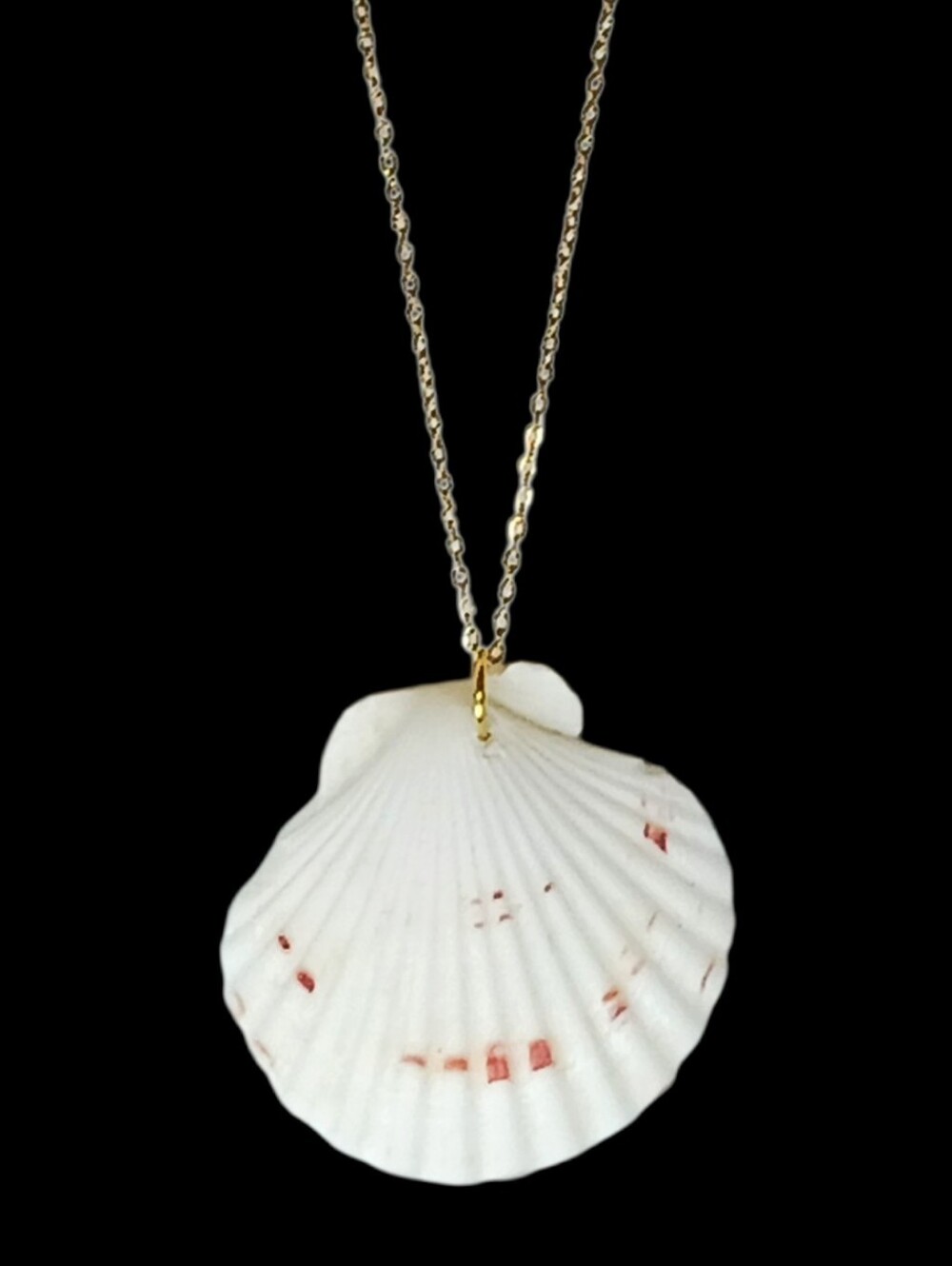 Gold White Scallop Shell Pendant Necklace Fisherman's Daughter Coastal Cowgirl